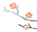 888.png